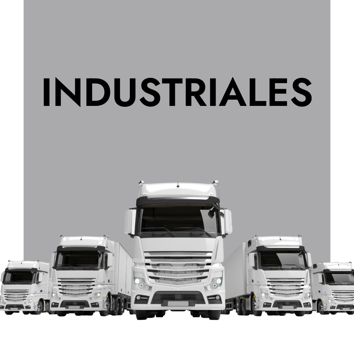 Mecánica y mantenimiento de camiones y vehículos industriales en Andrés Zamora